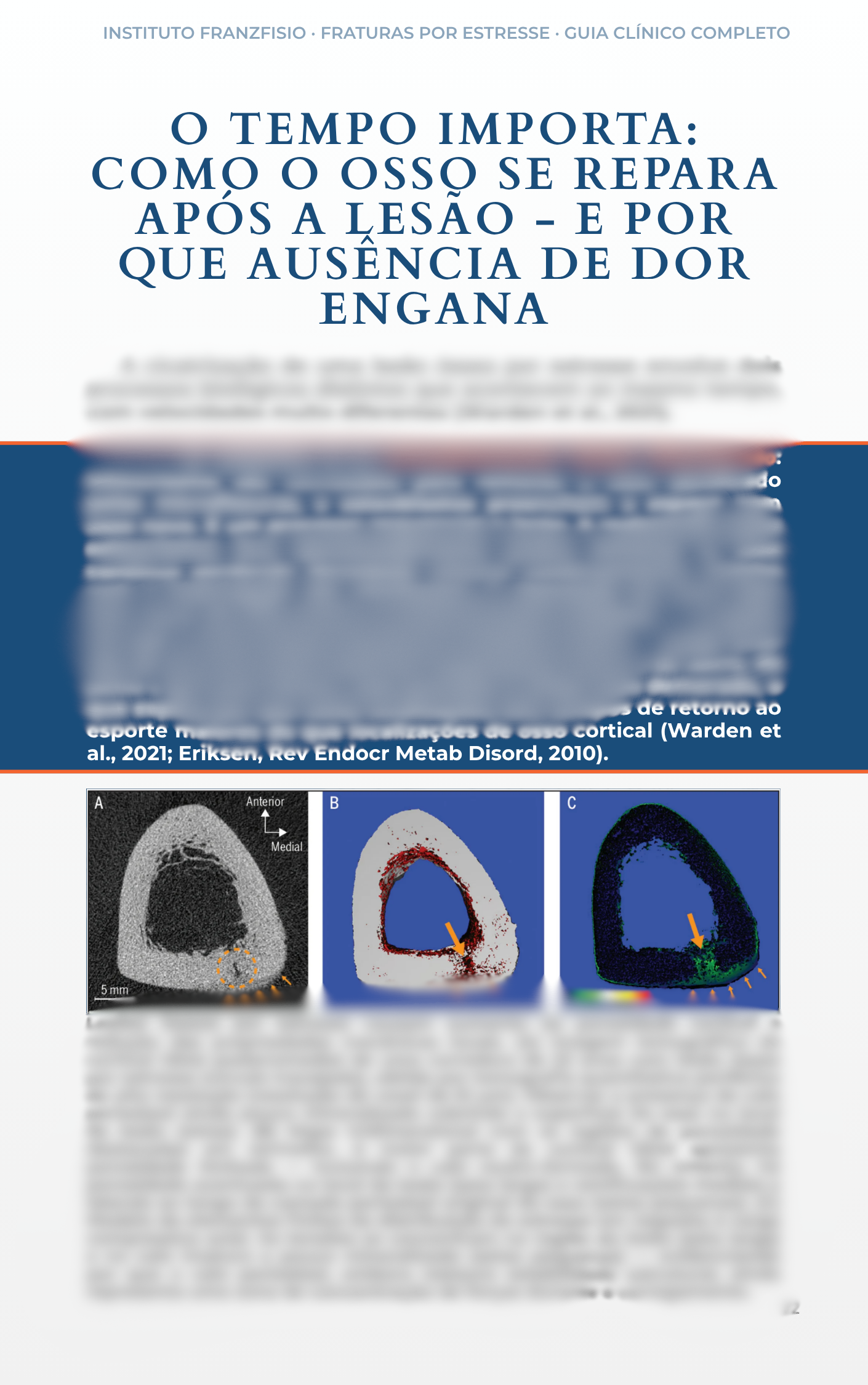 Como o osso repara após a lesão